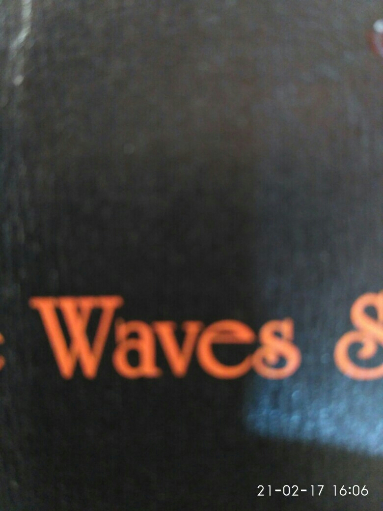 The Waves Salon - logo The Waves Salon - logo