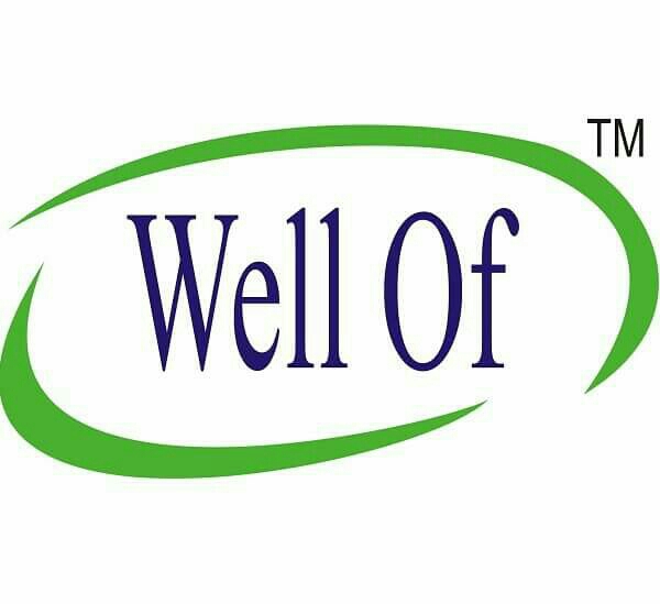 http://www.wellofchairs.com - logo Vallabh furniture - logo