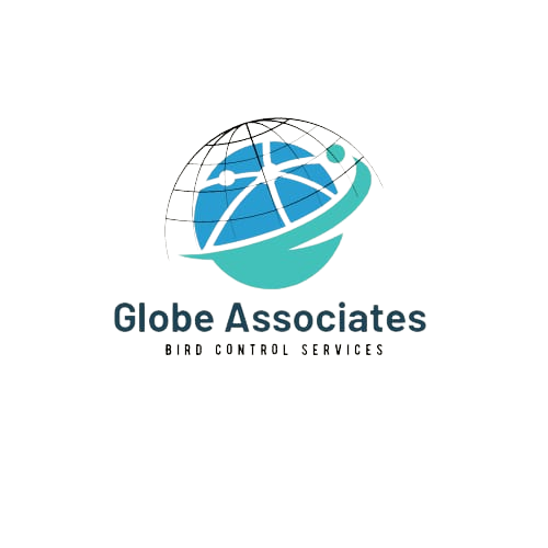 Globe Associates