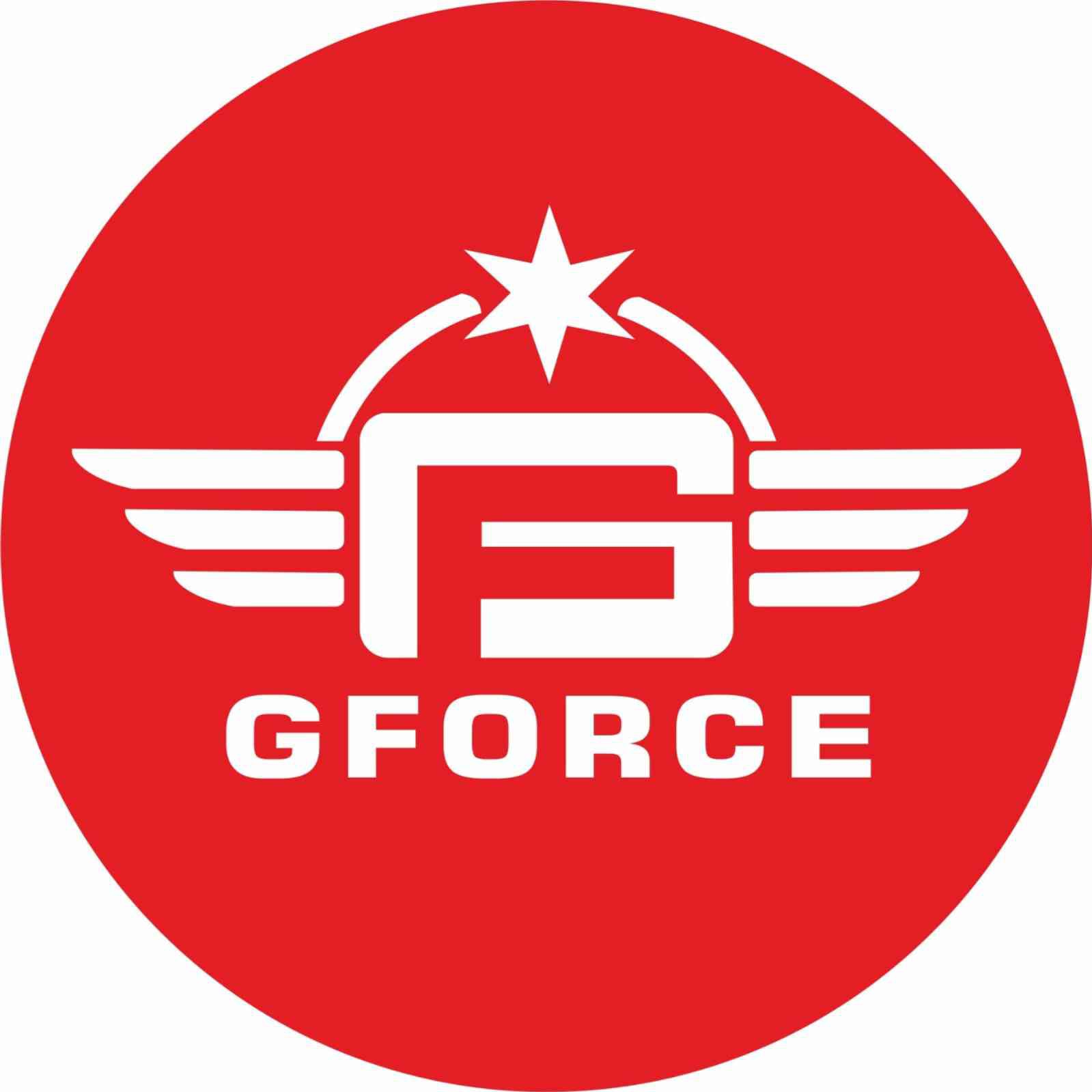 G-Force Fire Service's
