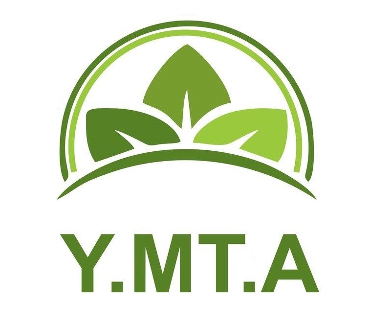 Y.MT.A Dental Clinic