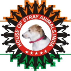 Shivalay Animal Wellness Centre