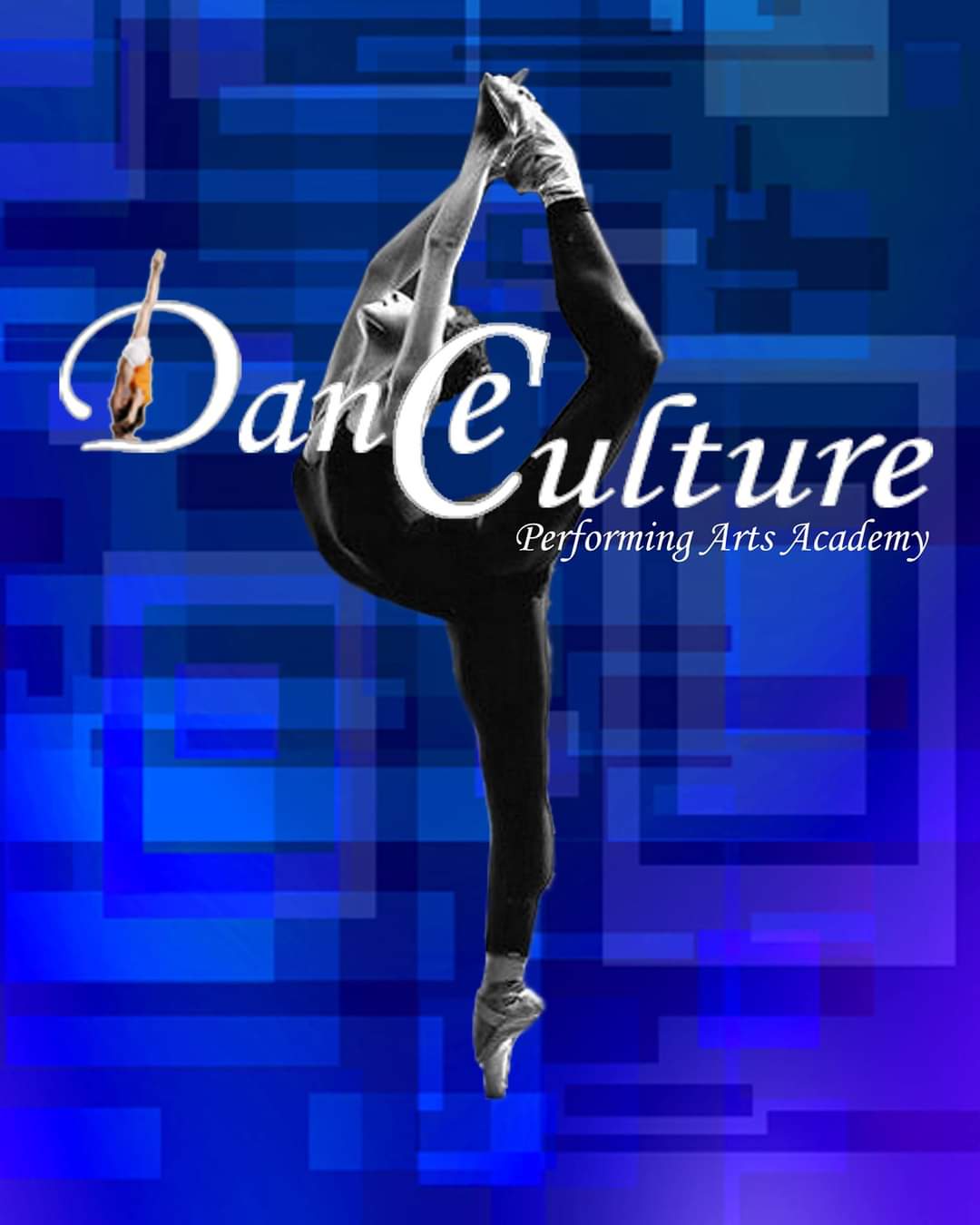 Dance Culture Performing Art Academy