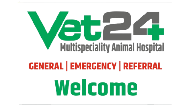 Vet 24 MultiSpeciality Animal Hospital