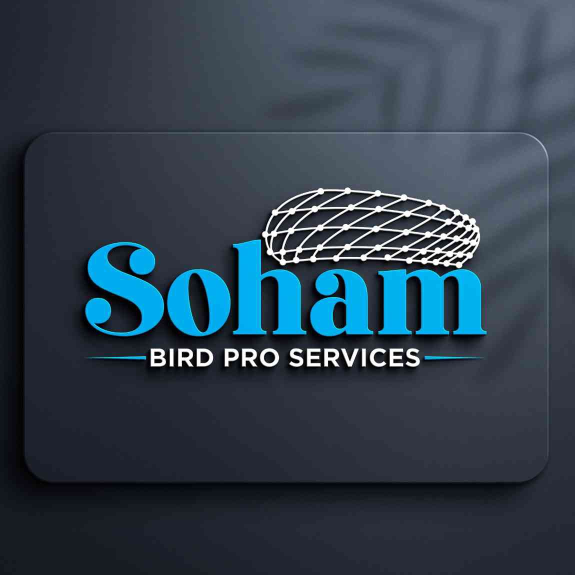 SOHAM BIRD PRO SERVICES -Bird Netting Specialist
