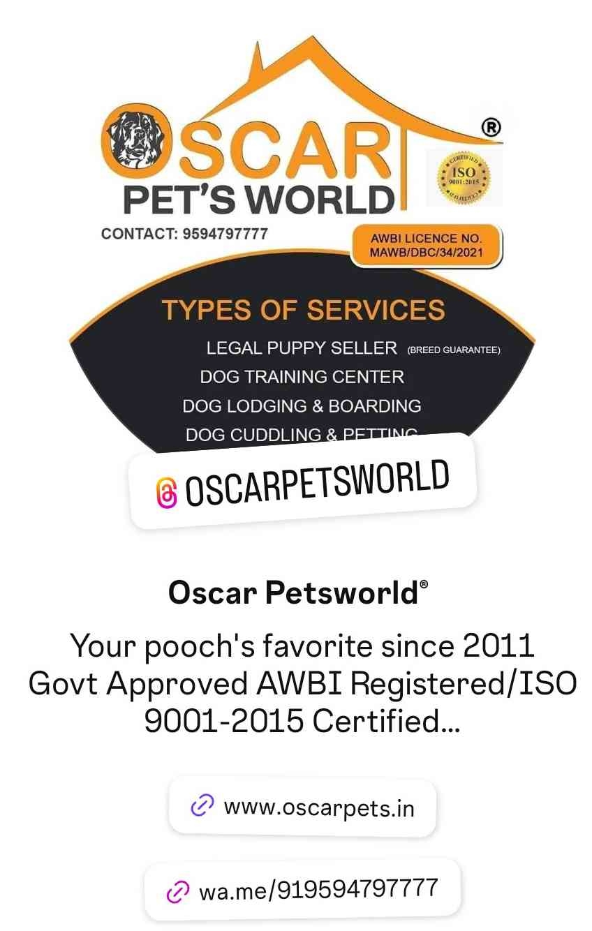 Oscar Pets World