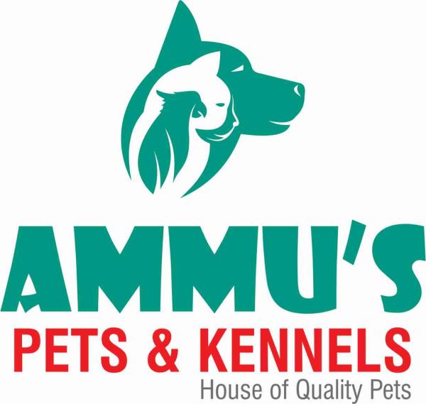 We are best pet shop in hyderabad.we provide Ammu's Pets & Kennels